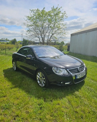 Volkswagen Eos cena 31990 przebieg: 97000, rok produkcji 2007 z Tuchola małe 92
